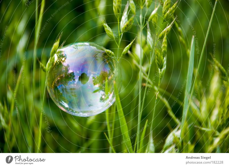 PC Colour photo Exterior shot Close-up Detail Deserted Day Reflection Lifestyle Style Joy Leisure and hobbies Environment Nature Earth Grass Meadow Sign