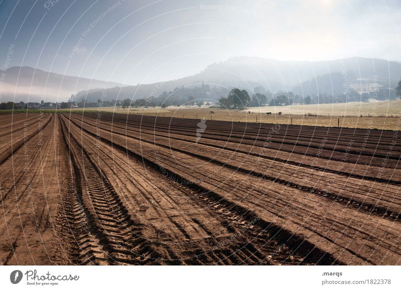 acre Agriculture Forestry Nature Landscape Elements Earth Cloudless sky Autumn Beautiful weather Fog Field Mountain Sustainability Brown Colour photo