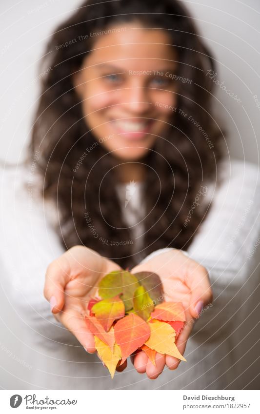 A little autumn Feminine Young woman Youth (Young adults) Life Hand 1 Human being 18 - 30 years Adults Plant Animal Autumn Beautiful weather Leaf Brown Yellow