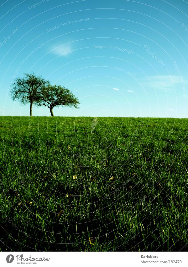 odyssey. Lifestyle Healthy Well-being Contentment Relaxation Calm Fragrance Freedom Environment Nature Sky Spring Summer Autumn Tree Grass Meadow Field Hill
