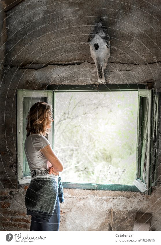 Thinking, girl stands at the open window and looks out, above her hangs a horse skull on the wall Young woman Youth (Young adults) 1 Human being 18 - 30 years
