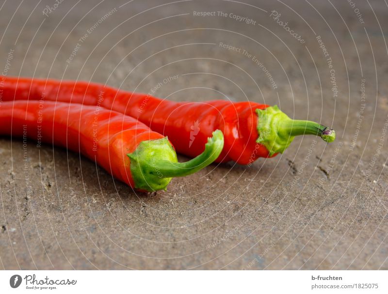 chillies Vegetable Herbs and spices Red Tangy pepperoni Chili Wooden board Spicy Vegetarian diet Colour photo Interior shot Close-up Deserted