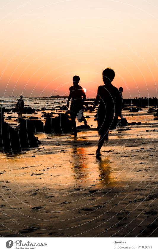 Colour photo Exterior shot Evening Light Shadow Silhouette Sunlight Front view Life Children's game Vacation & Travel Tourism Freedom Summer vacation Beach