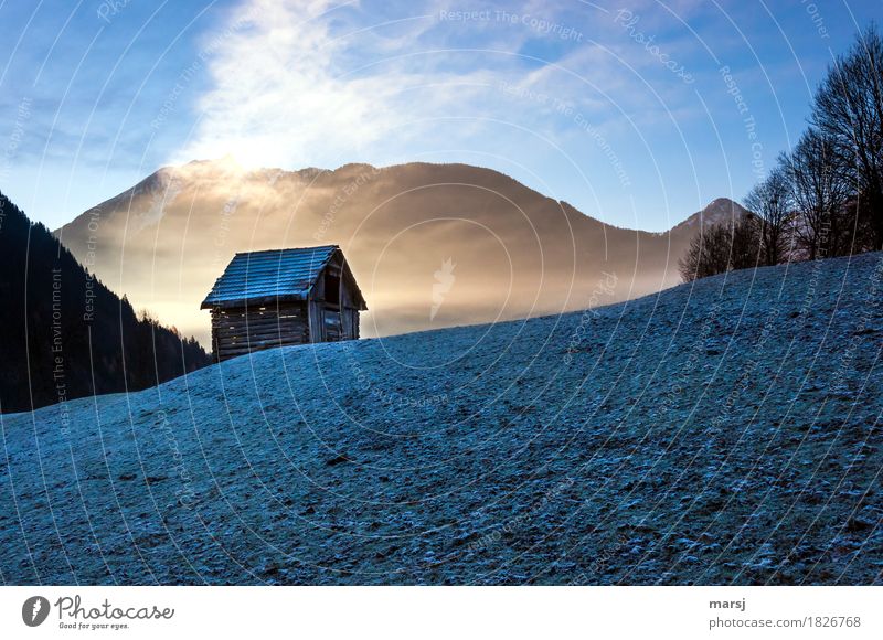 Cold-Warm Nature Autumn Beautiful weather Fog Ice Frost Meadow Hut haystack Old Exceptional Dark cold-warm morningfrost Colour photo Subdued colour