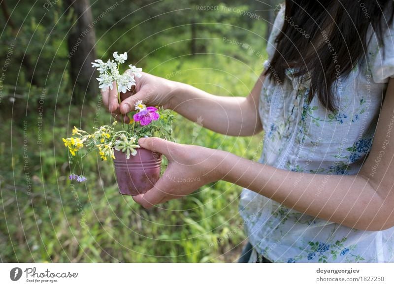 Woman collects flowers Beautiful Summer Garden Gardening Girl Adults Nature Plant Flower Grass Meadow Dress Hair Bouquet Cute Wild Green young collecting spring