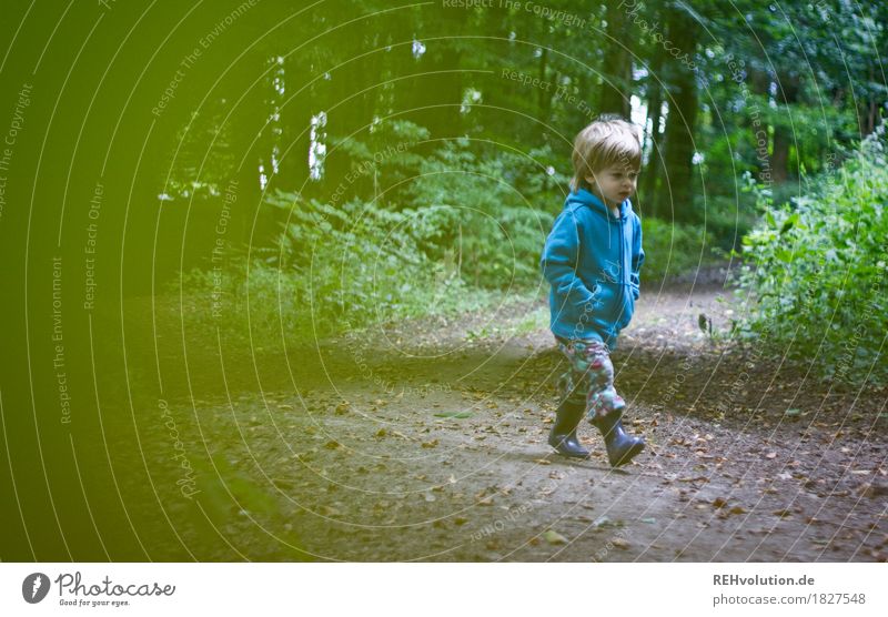On the road in the forest Human being Child Toddler Boy (child) Infancy 1 1 - 3 years Environment Nature Tree Forest Lanes & trails Sweater Rubber boots Running