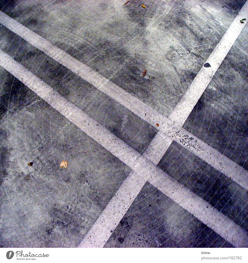 cellar spirits Parking garage Concrete Floor covering Stripe Clue Traffic lane landmarks Leaf Autumn Underground garage Dirty smudged Corner Parallel