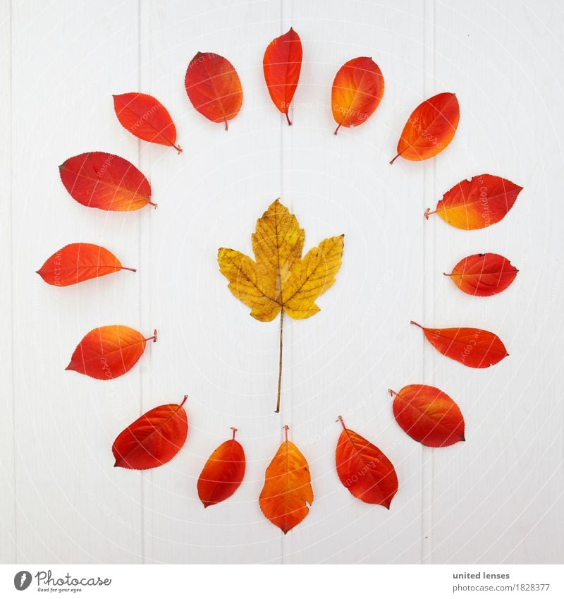 AK# Autumn and its leaves VI Art Work of art Esthetic Leaf Autumnal Autumn leaves Autumnal colours Early fall Automn wood Autumnal weather Autumn wind