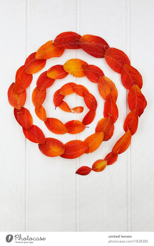 AK# Autumn and its leaves II Art Work of art Esthetic Circle Circular Circular movement Spiral Red Orange White Symmetry Graphic Whirlpool Autumnal