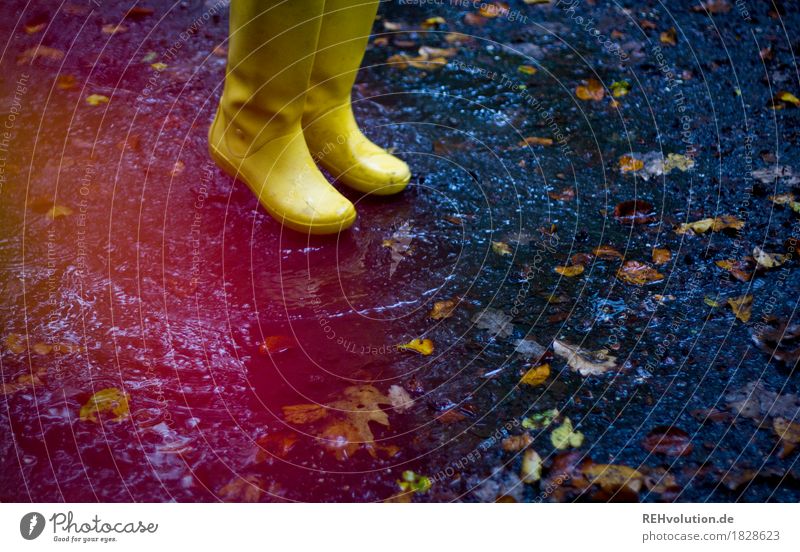 Yellow rubber boots Feet 1 Human being Environment Nature Autumn Weather Bad weather Rain Leaf Rubber boots Jump Authentic Free Friendliness Happiness Wet Joy