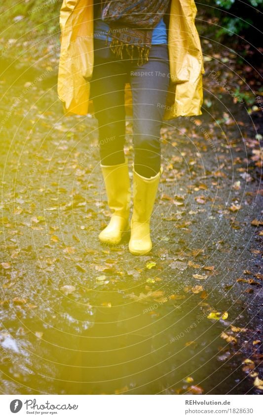 Jule in a raincoat. Human being Feminine Young woman Youth (Young adults) Legs 1 18 - 30 years Adults Environment Nature Landscape Autumn Weather Bad weather