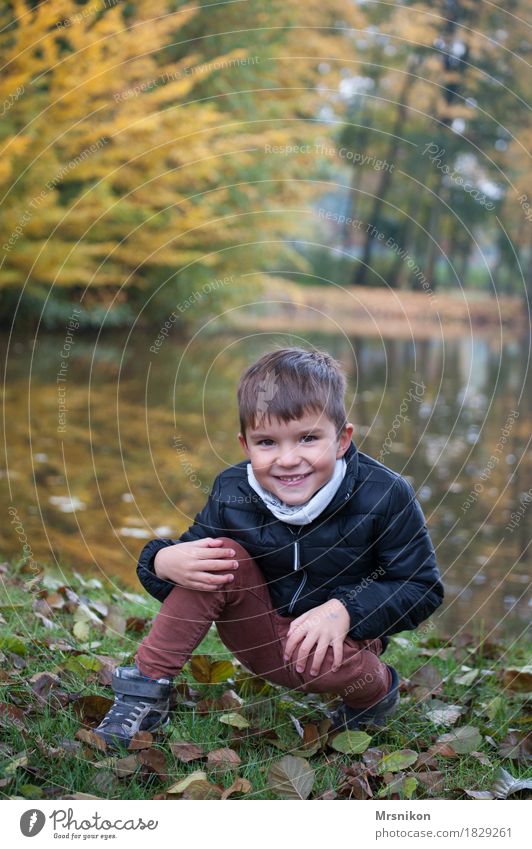 Hello Human being Toddler Boy (child) Infancy 1 3 - 8 years Child Beautiful weather Park Funny Autumn Autumnal October Lakeside Autumn leaves Leaf Meadow Crouch