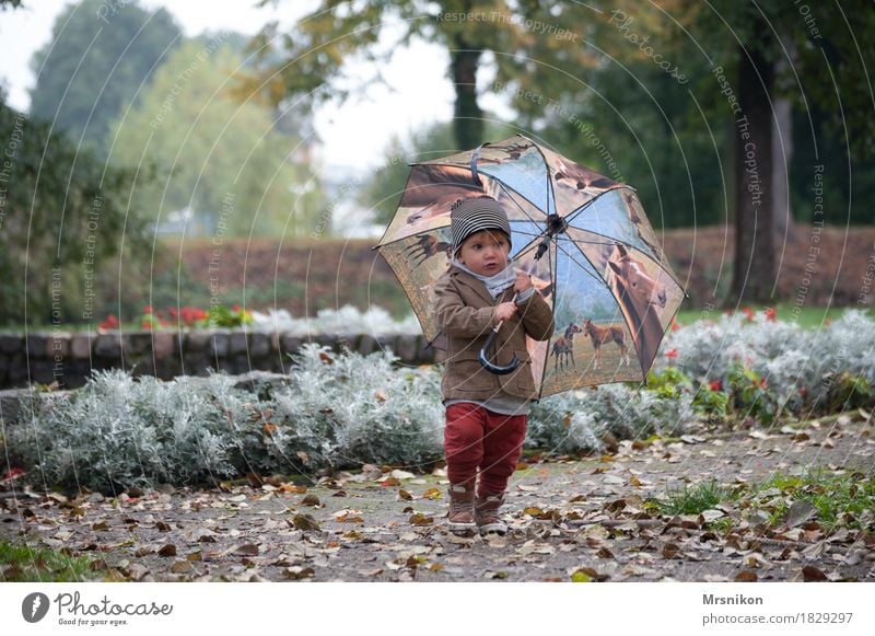 Umbrella and you Leisure and hobbies Playing Child Toddler Boy (child) Infancy Life 1 Human being 1 - 3 years Beautiful Autumn Autumnal Autumn leaves October