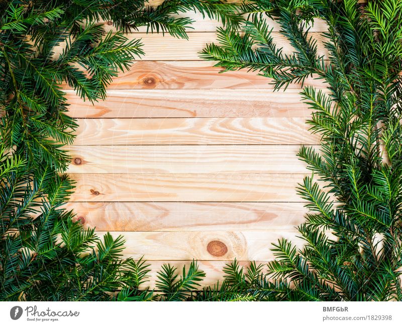Wooden circle in the fir thicket Feasts & Celebrations Christmas & Advent New Year's Eve Advertising Industry Nature Winter Fir branch Signs and labeling