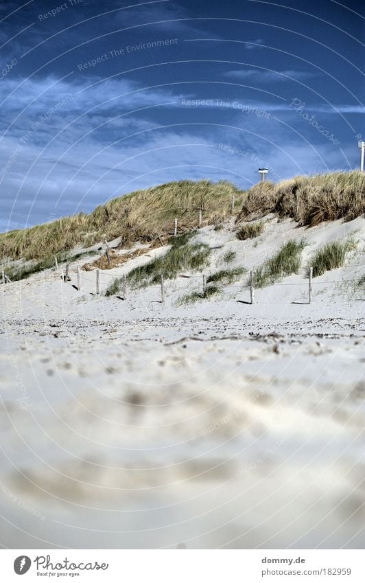 op de duinen Colour photo Exterior shot Deserted Day Shadow Contrast Deep depth of field Worm's-eye view Tourism Far-off places Freedom Summer Summer vacation
