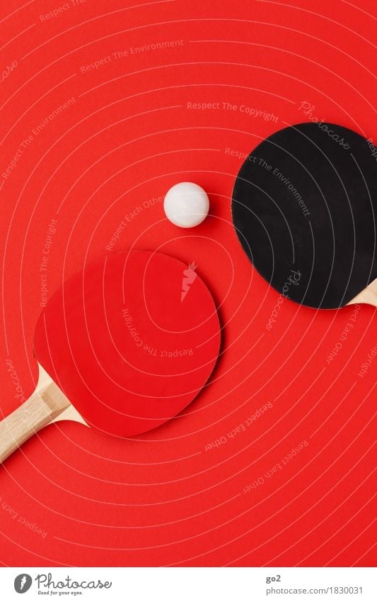 Ping + Pong Athletic Leisure and hobbies Playing Sports Ball sports Table tennis Sporting event Table tennis ball Table tennis bat Round Red Black White