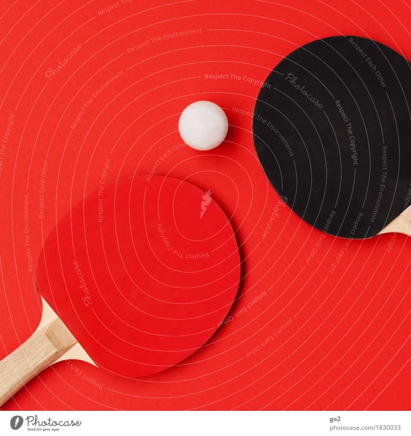 table tennis Athletic Leisure and hobbies Playing Sports Ball sports Table tennis Sporting event Table tennis ball Table tennis bat Round Red Black White