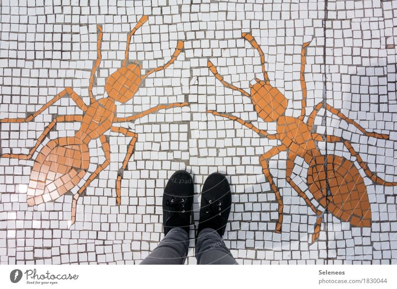 PANIC! Handcrafts Mosaic Human being Legs Feet 1 Footwear Animal Ant 2 Stand Gigantic Large Creepy Fear Dangerous Stress Creativity Brave Colour photo