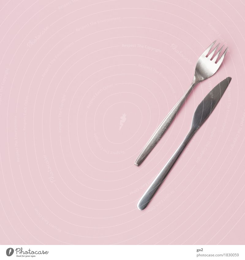 Fork and knife Nutrition Lunch Dinner Cutlery Knives Metal Pink Silver Colour photo Interior shot Studio shot Close-up Deserted Copy Space left Copy Space top