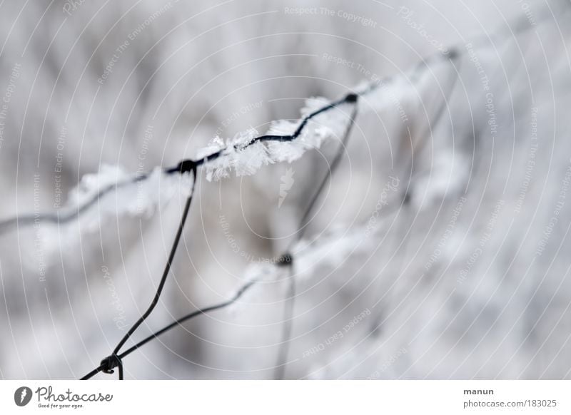 freezing Exterior shot Close-up Detail Abstract Pattern Structures and shapes Copy Space right Copy Space top Neutral Background Morning Day Light Contrast Blur