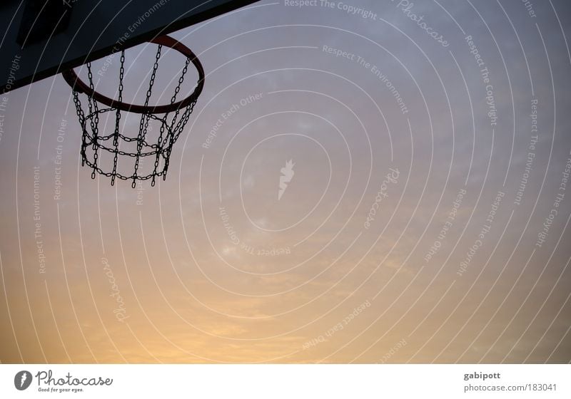 The big litter Subdued colour Exterior shot Deserted Evening Twilight Silhouette Sunrise Sunset Back-light Worm's-eye view Leisure and hobbies Basketball