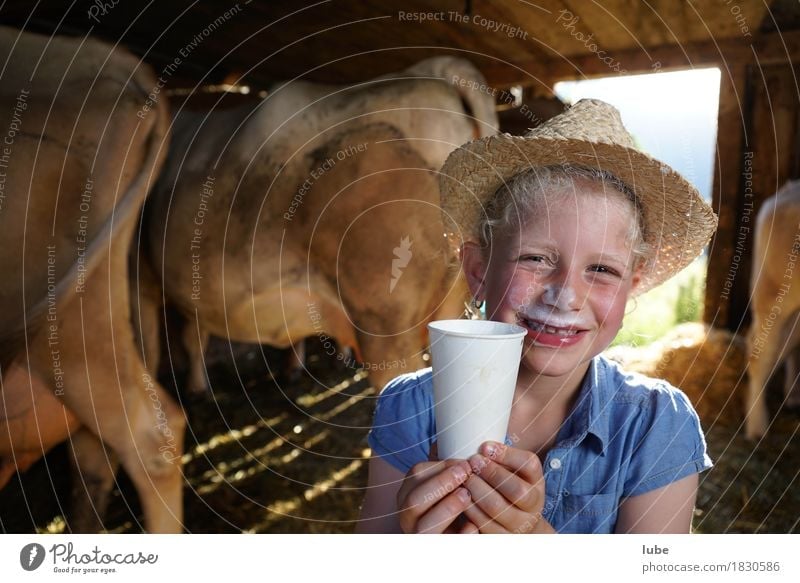 fresh milk Food Beverage Drinking Cold drink Milk Mug Healthy Agriculture Forestry Cow milky Milk bar young farmer Colour photo