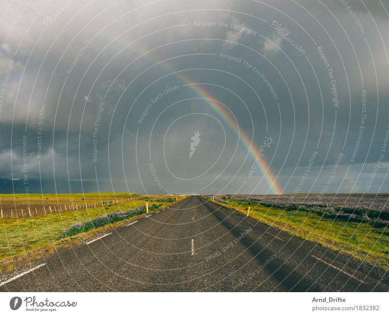 Street and rainbow in Iceland Vacation & Travel Tourism Trip Adventure Far-off places Freedom Environment Landscape Plant Air Sky Clouds Storm clouds Weather