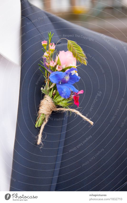 Ansteckblume Braeutigam Nature Love blue Suit corsage "Flower," Ostrich Bride groom Matrimony get married Wedding Wedding anniversary Feasts & Celebrations