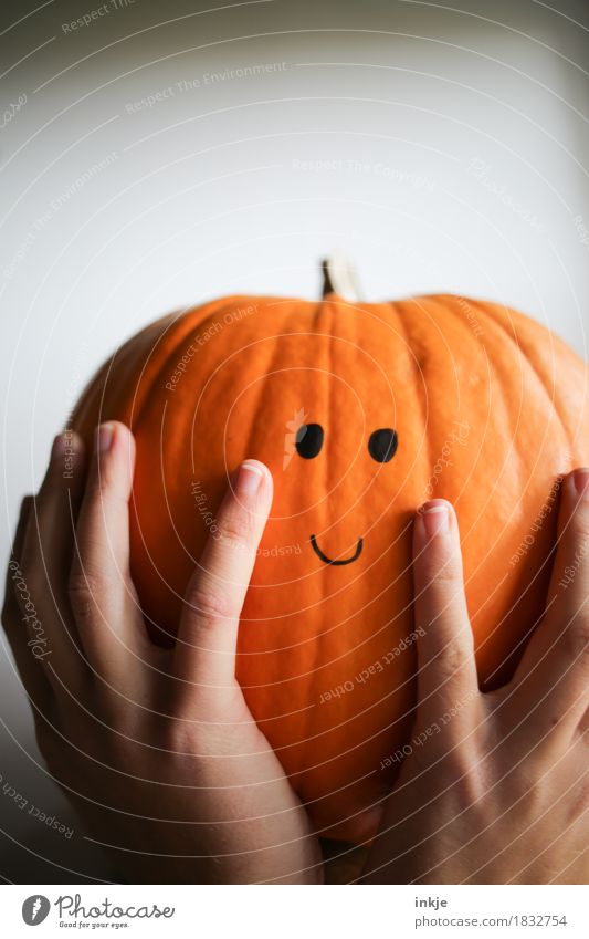pumpkin head Friendliness Smiling Smiley Large Pighead Orange To hold on Face Pumpkin Pumpkin time Hallowe'en Cute Button eyes Uphold Funny