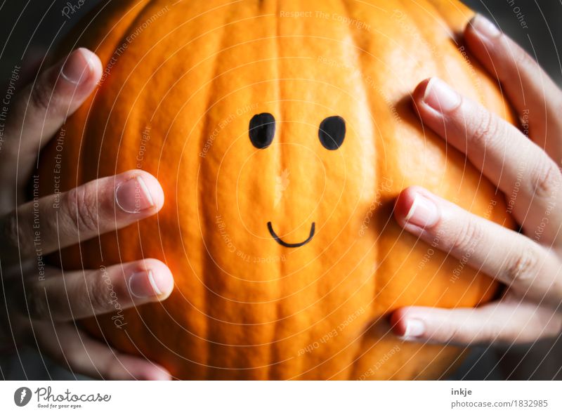 pumpkin head Pumpkin Pumpkin time Nutrition Lifestyle Leisure and hobbies Thanksgiving Hallowe'en Infancy Youth (Young adults) Hand Fingers 1 Human being