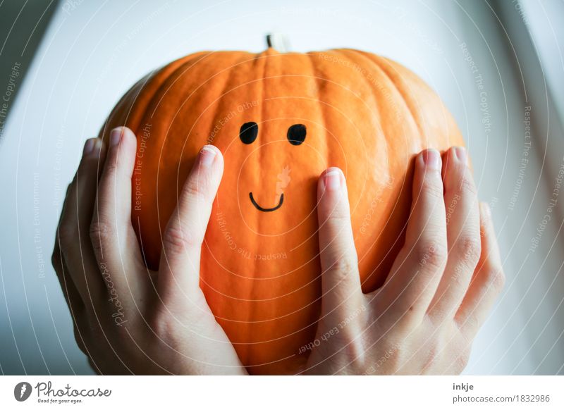 Pumpkin, satisfied with himself and the world Lifestyle Joy Leisure and hobbies Thanksgiving Hallowe'en Infancy Youth (Young adults) Hand Women`s hand 1