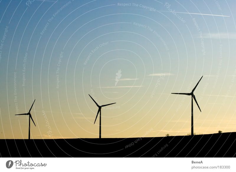 wind power Energy industry Success Technology Advancement Future Renewable energy Solar Power Wind energy plant Environment Nature Landscape Air Sky
