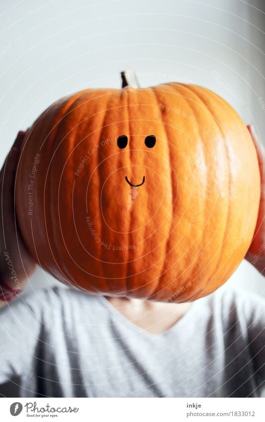 stubborn Friendliness Smiling Smiley Large Pighead Orange To hold on Face Pumpkin Pumpkin time Hallowe'en Cute Button eyes Uphold Funny