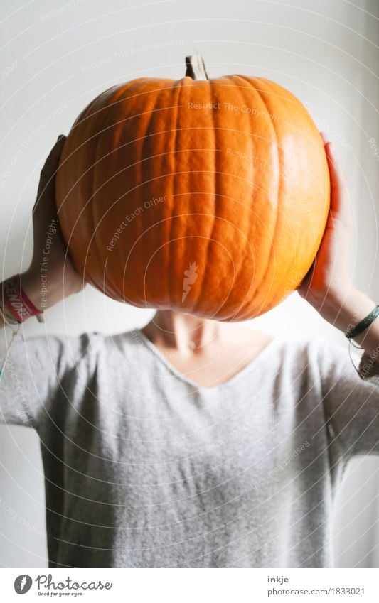 Pumpkin head jun. Vegetable Pumpkin time Nutrition Joy Leisure and hobbies Thanksgiving Hallowe'en Girl Young woman Youth (Young adults) Infancy Life Body Head