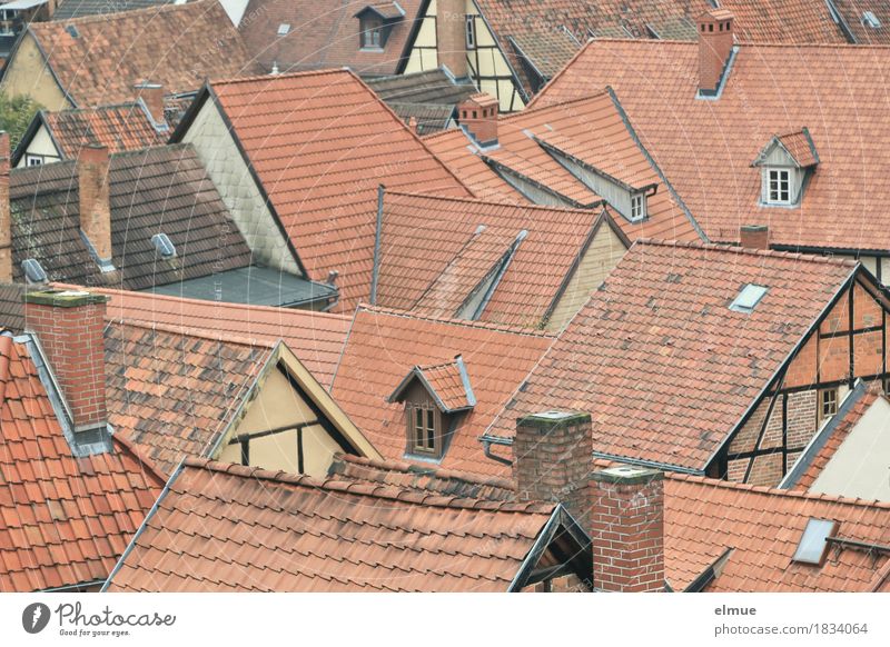 Roofscape (4) Old town House (Residential Structure) Window Chimney Tiled roof Roof ridge Half-timbered house Skylight Gable Authentic Historic Town Red