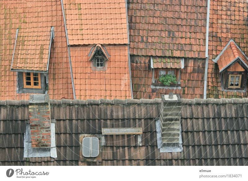 Roofscape (2) House (Residential Structure) Old town Apartment Building Tiled roof Roofing tile Roof ridge Skylight Oriel window Window Hatch Chimney Historic