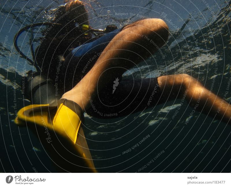 Appeared Colour photo Underwater photo Day Light Worm's-eye view Leisure and hobbies Vacation & Travel Tourism Human being Masculine Man Adults Legs Environment