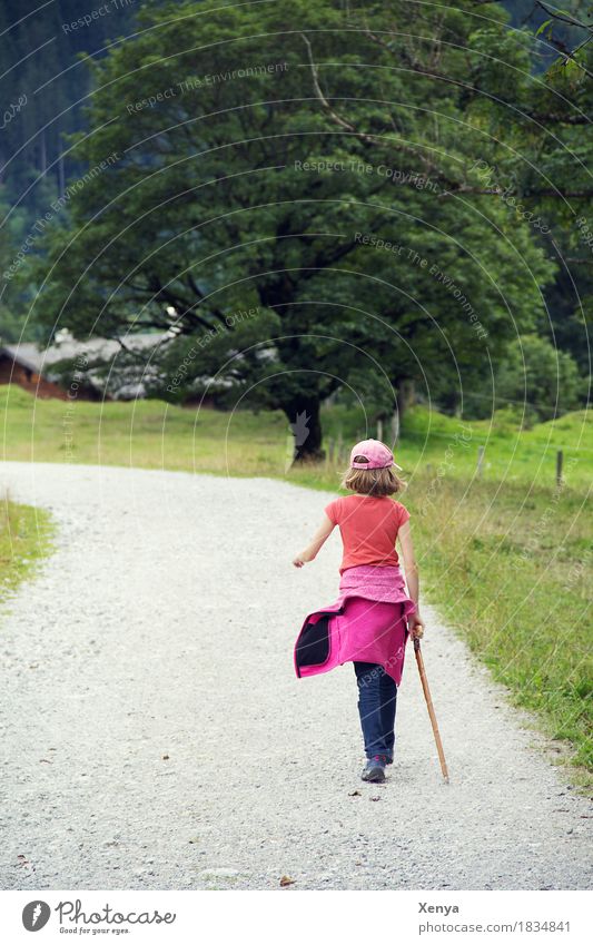 wander Mountain Hiking Feminine Child 1 Human being 8 - 13 years Infancy Nature Summer tree Gray green Pink Vacation & Travel Footpath Colour photo