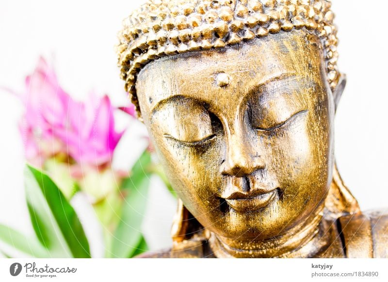 Buddha Buddhism Siddhartha Religion and faith Meditation Wellness Belief Awareness Statue Calm Massage Relaxation Face Asia Prayer Iconic Art Culture Intellect