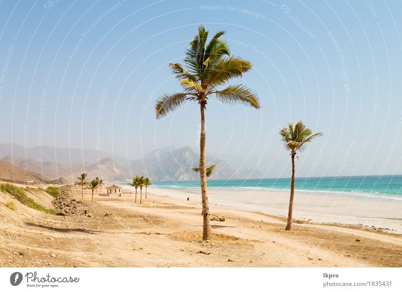 and mountain in oman arabic sea the hill Vacation & Travel Tourism Summer Sun Beach Ocean Culture Environment Nature Landscape Plant Sand Sky Horizon Leaf Rock