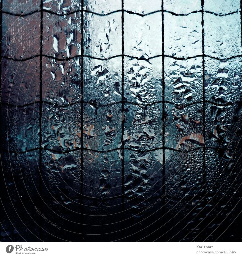 rain. time. Lifestyle Design Living or residing Rain Window Glass Fluid Cold Wet Loneliness Distress Bizarre Whimsical Sadness Change Wire Wire mesh