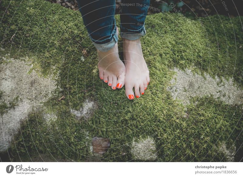 I like nature Well-being Senses Vacation & Travel Trip Adventure Feminine Feet 1 Human being Soft Moss Barefoot Forest Woodground Forest walk Nail polish Nature