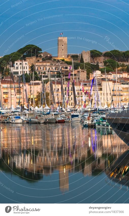 Yachts in the cannes bay at night Vacation & Travel Ocean Sailing Landscape Sky Coast Small Town Building Watercraft Yacht harbour Rich Idyll Cannes port France