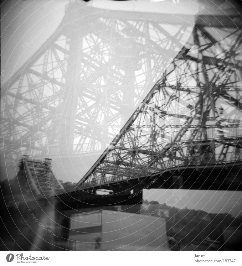 a miracle Black & white photo Exterior shot Experimental Lomography Structures and shapes Deserted Day Light Shadow Contrast Landscape Summer Bad weather Rain