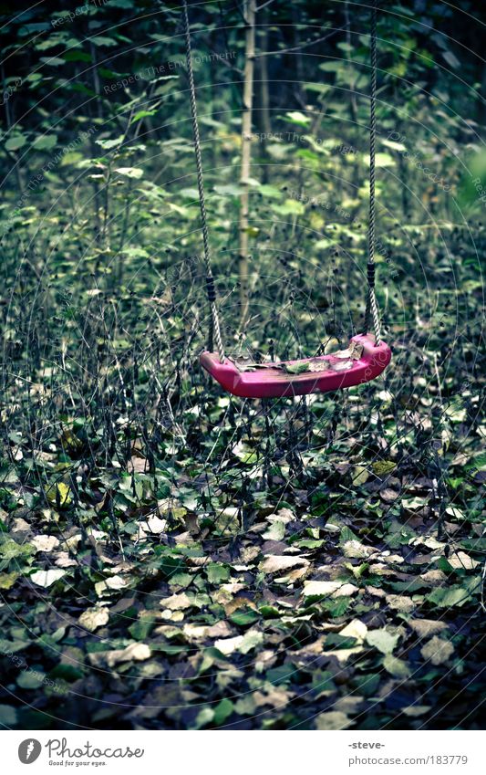 Forgotten Childhood Colour photo Exterior shot Deserted Day Infancy Forest To swing Green Red Longing Lose Swing Leaf Forget Memory Remember