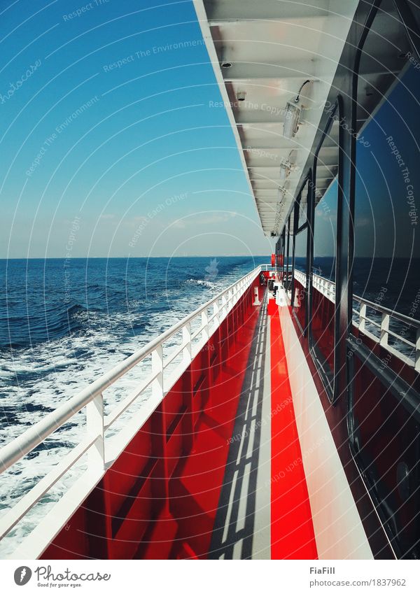 Feeling the breeze Adventure Far-off places Water Sun Summer Waves Transport Boating trip Passenger ship Ferry Refrain Colour photo Exterior shot Detail