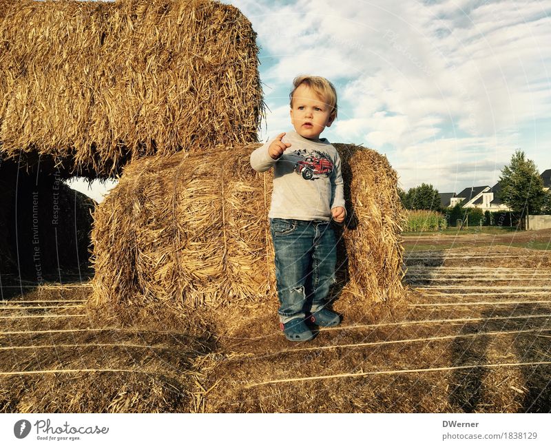 Straw playground II Joy Leisure and hobbies Playing Trip Adventure Child Toddler 1 Human being Nature Sunrise Sunset Summer Beautiful weather T-shirt Jeans