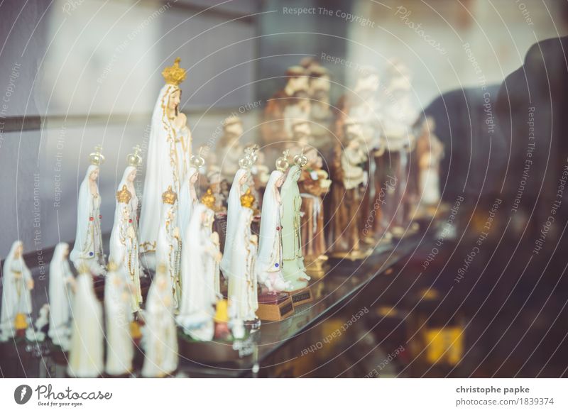 Marian statues in shop window Religion and faith Art Sculpture Kitsch Odds and ends Collection wood Belief Figure Carving Virgin Mary Colour photo Feminine