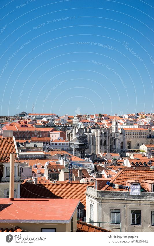 Roofed sea of Lisbon Vacation & Travel Far-off places City trip Summer Summer vacation Sun Beautiful weather Portugal Town Capital city Downtown Old town