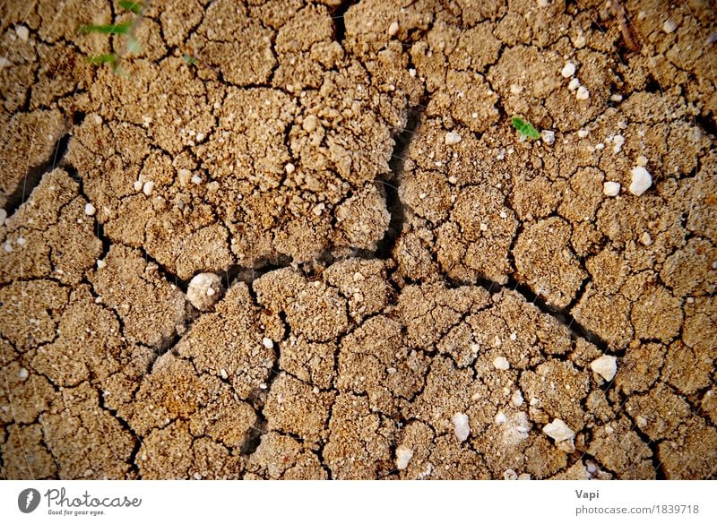 Dry yellow soil in the desert Summer Environment Nature Earth Sand Climate Weather Drought Desert Stone Dirty Hot Natural Brown Yellow Disaster dry land